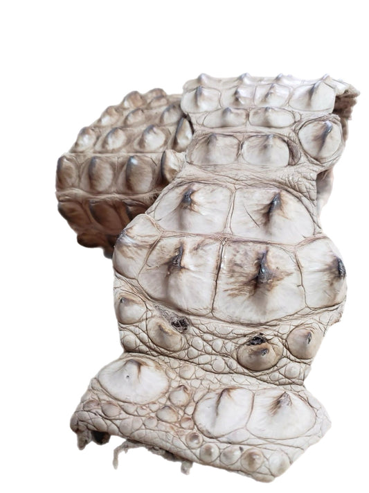 90-99 Cm Grade 1 Tan Vintage Matte Nile Crocodile Backstrap Leather