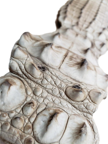 90-99 Cm Grade 1 Tan Vintage Matte Nile Crocodile Backstrap Leather