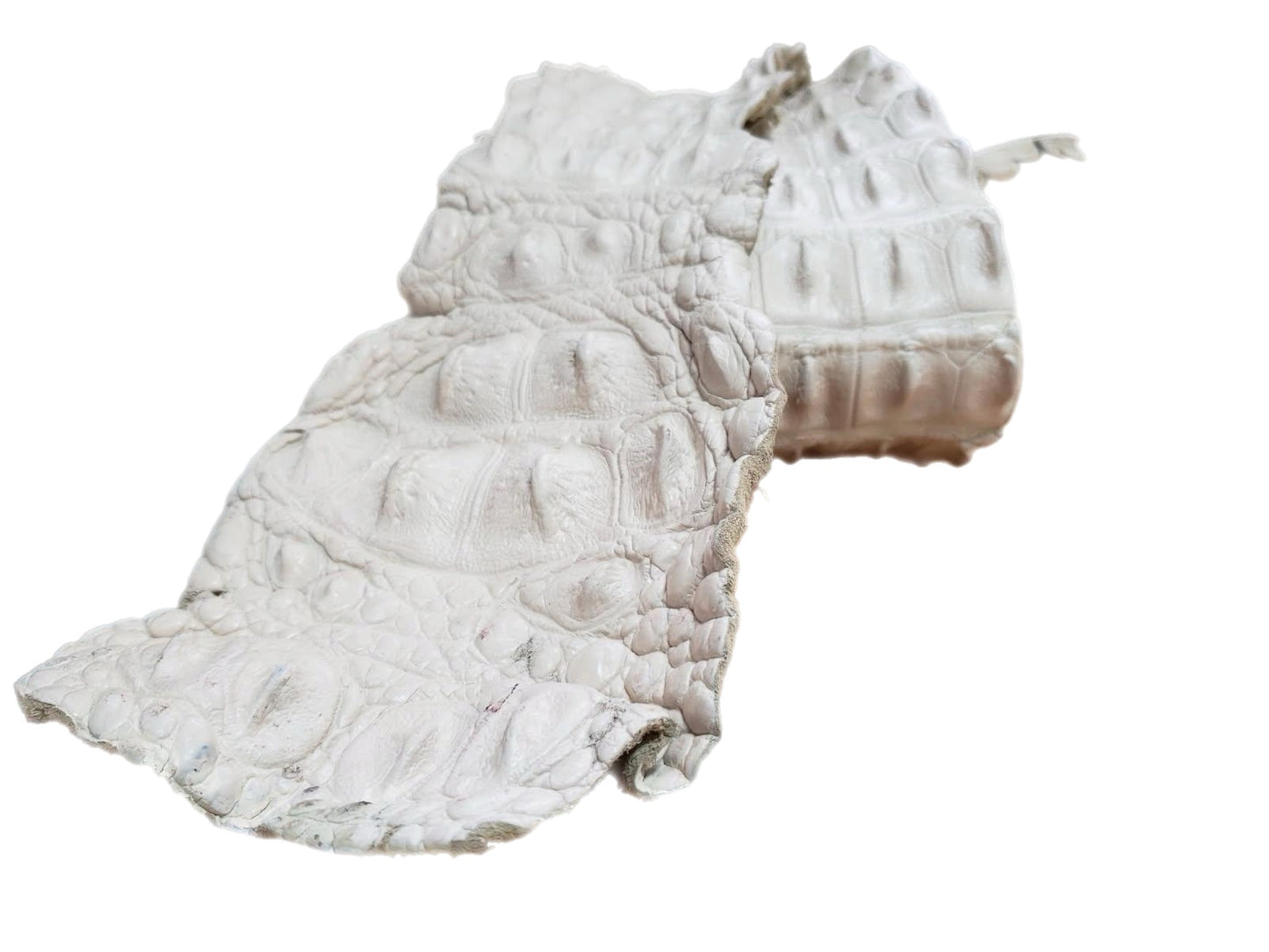 90-99 Cm Grade 1 Bone Matte Nile Crocodile Backstrap Leather