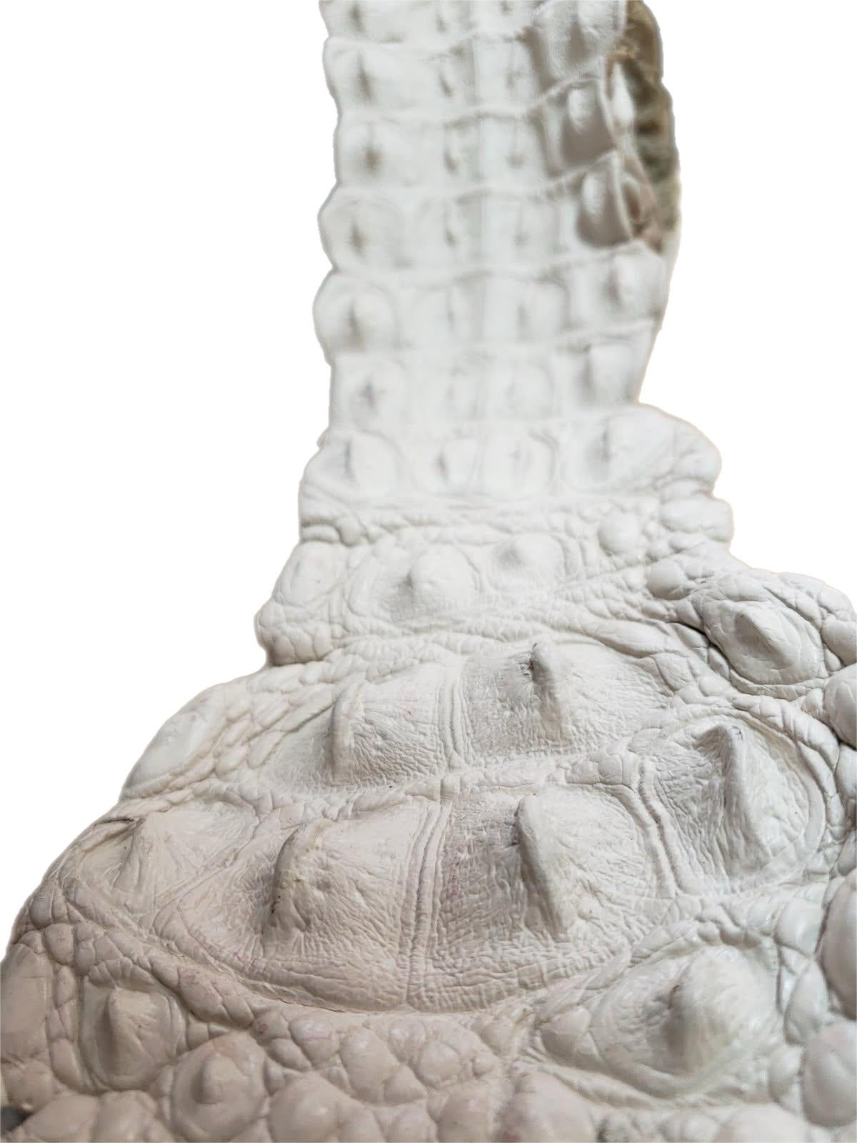 90-99 Cm Grade 1 Bone Matte Nile Crocodile Backstrap Leather