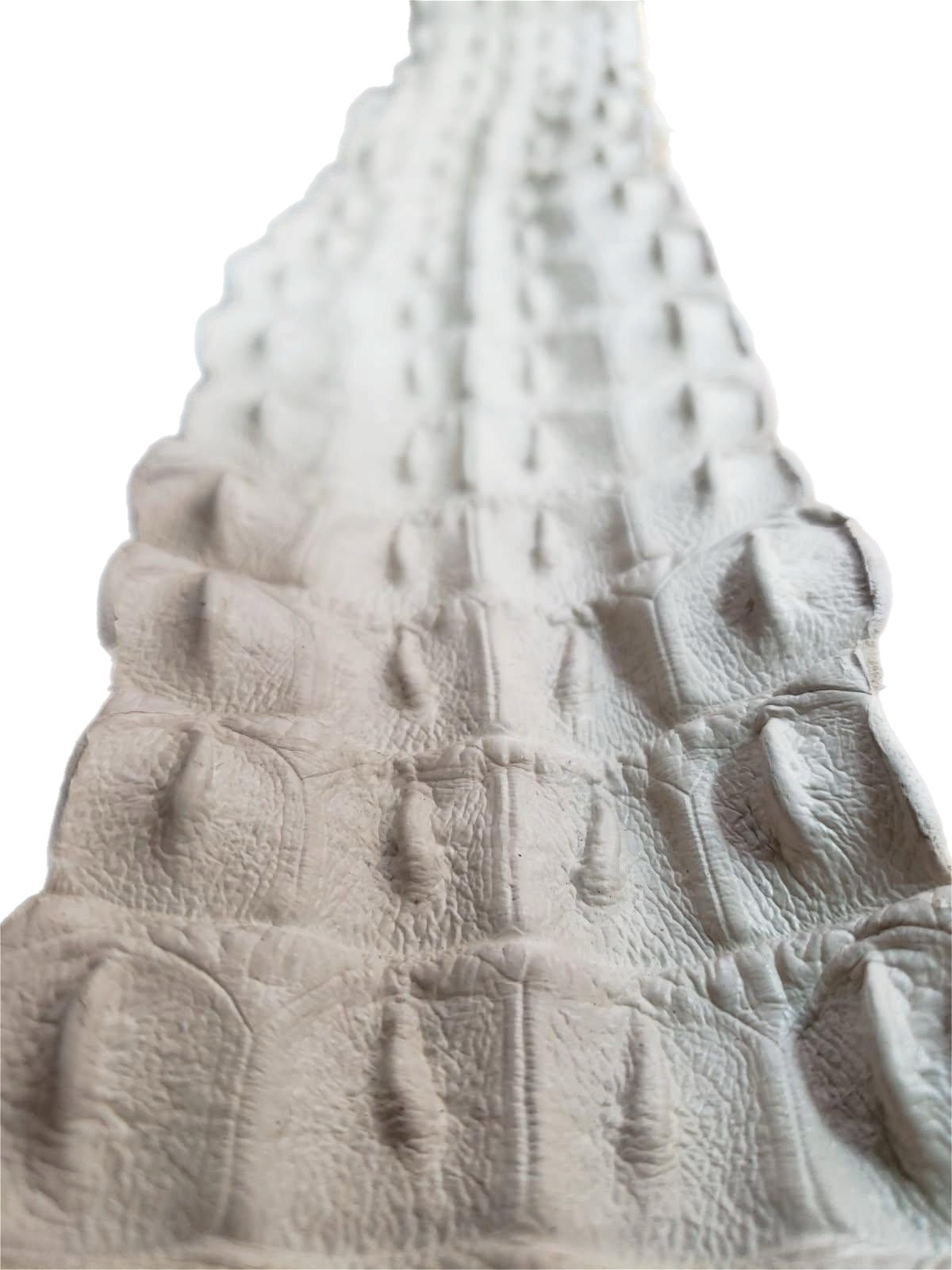 90-99 Cm Grade 1 Bone Matte Nile Crocodile Backstrap Leather
