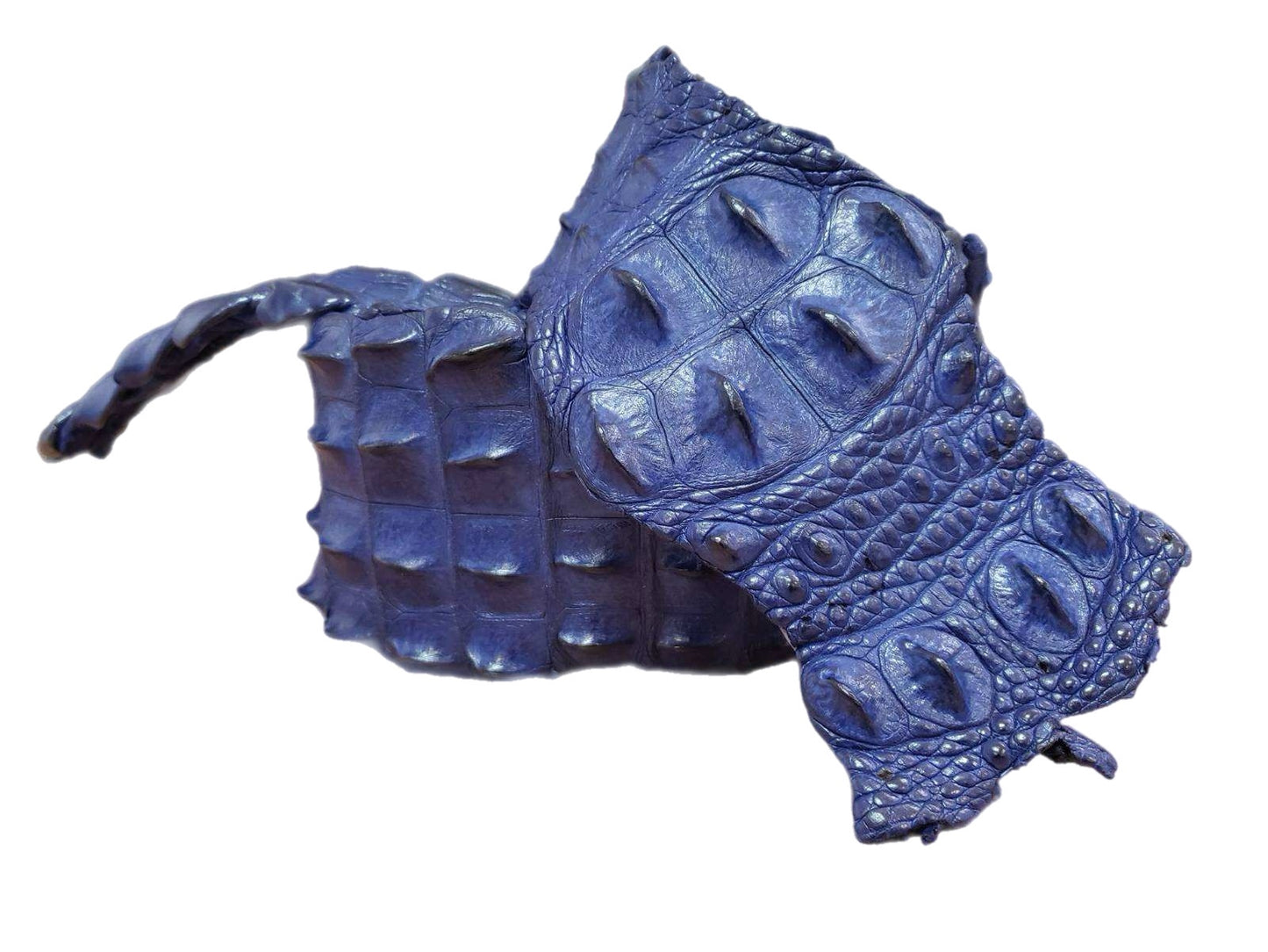 90-99 Cm Grade 1 Mod Blue Matte Nile Crocodile Backstrap Leather