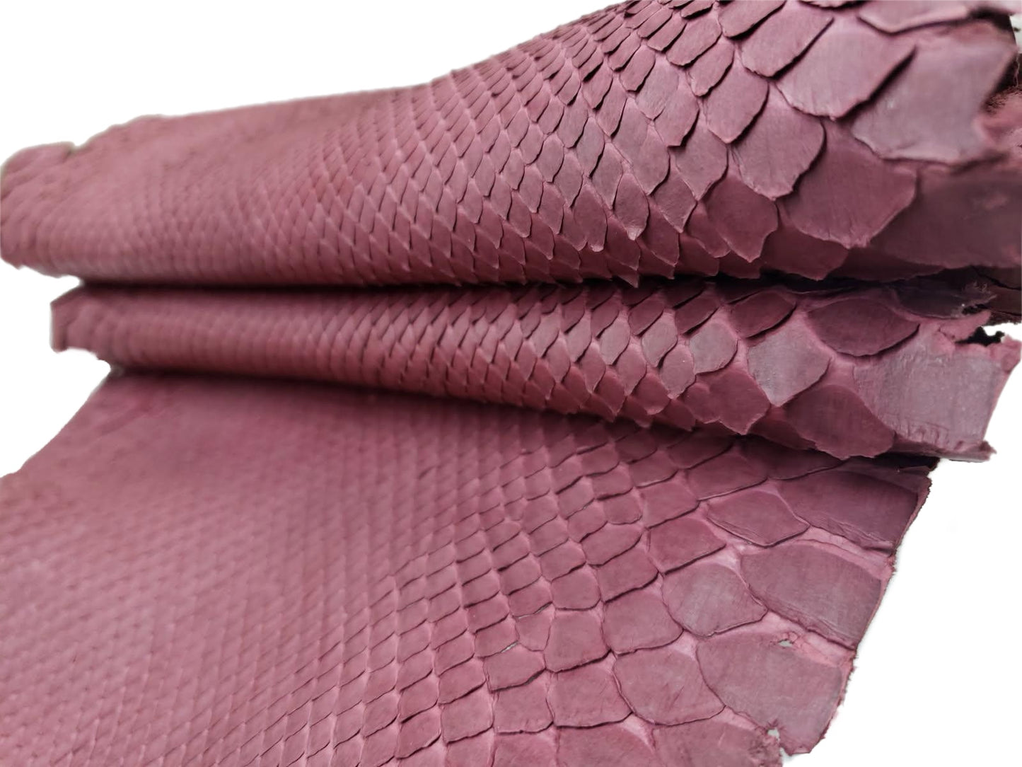 1.5 M Front Cut Burgundy Matte Python Leather