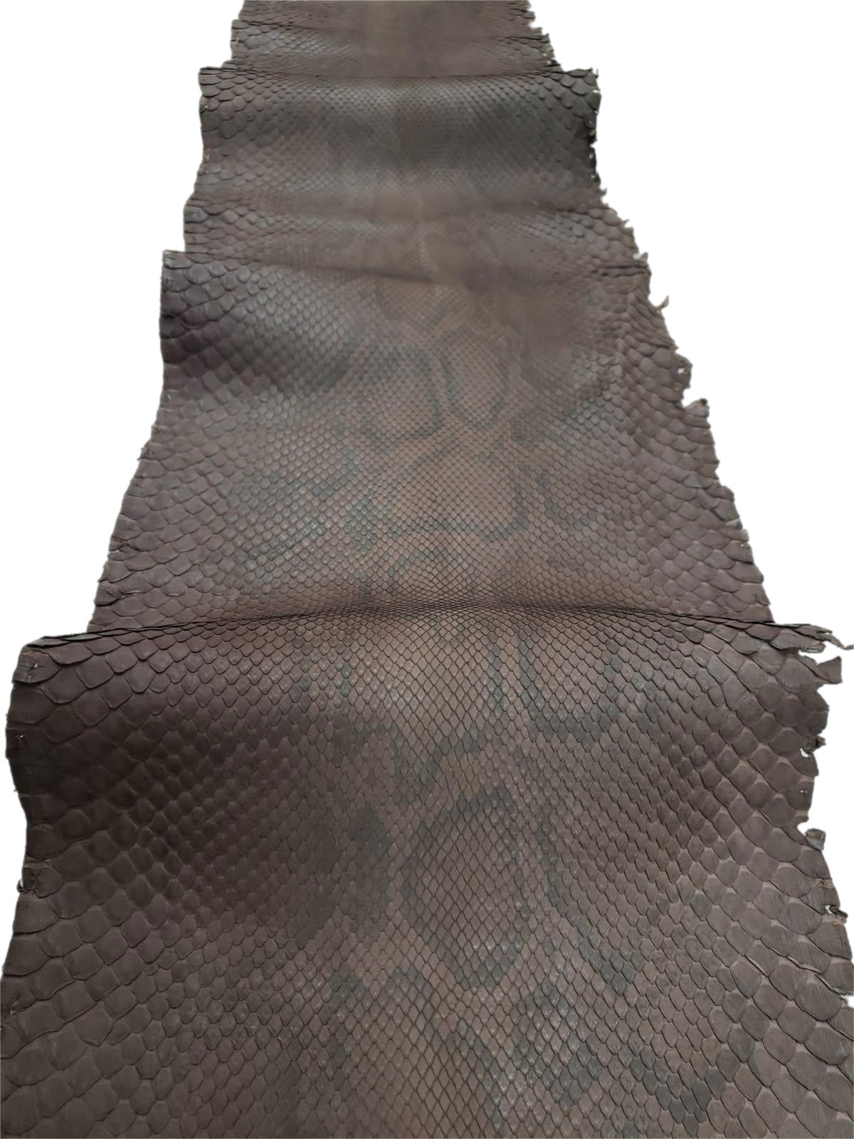 1.5 M Front Cut Walnut Matte Python Leather with Natural Markings