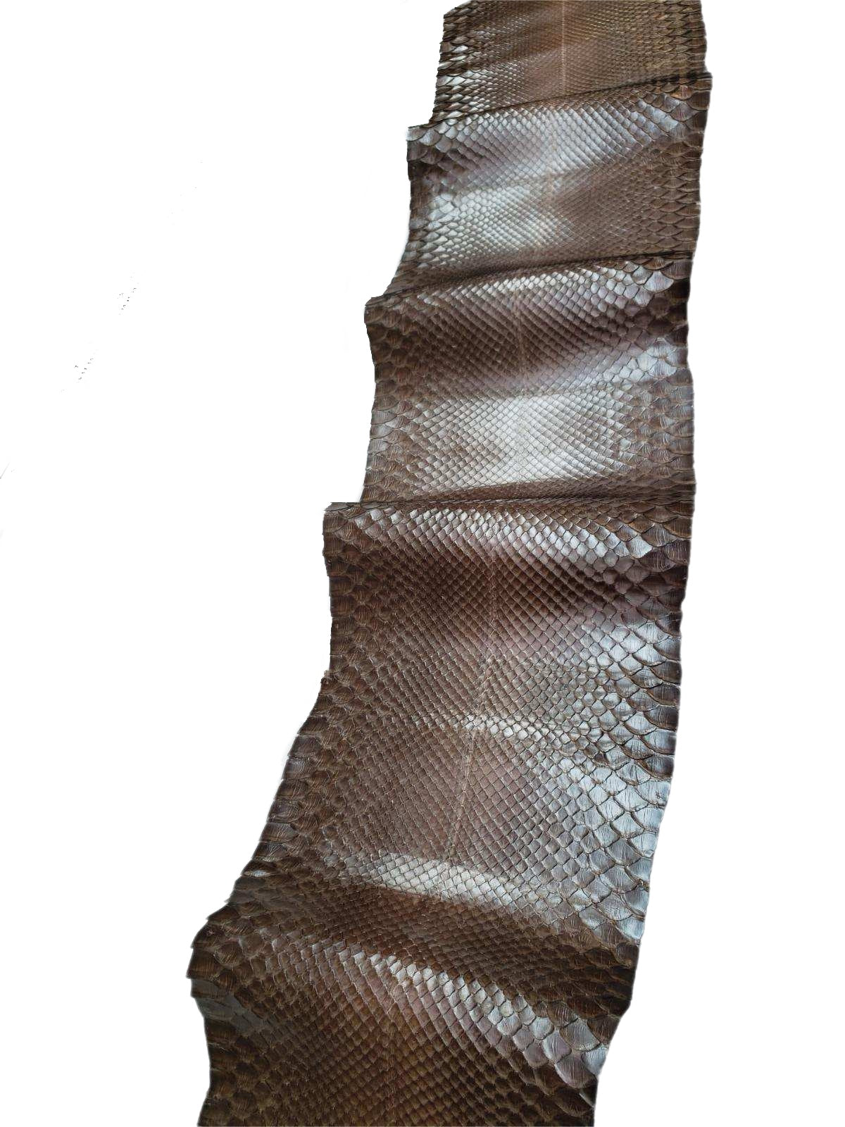 1.2 M Brown Glazed Front Cut Python Leather
