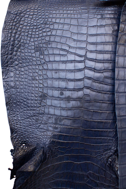 CLOSEOUT - Navy Blue Matte Farm Raised Alligator Belly from size 26-28 cm | Reject due to raw skin degradation