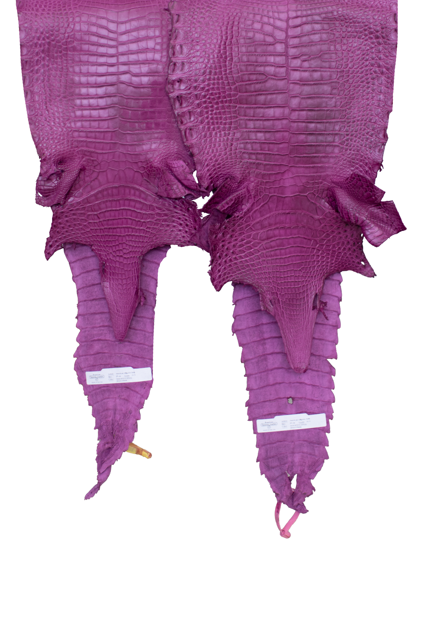 CLOSEOUT - Magenta Matte Farm Raised Alligator Belly from size 26-28 cm | Reject due to raw skin degradation