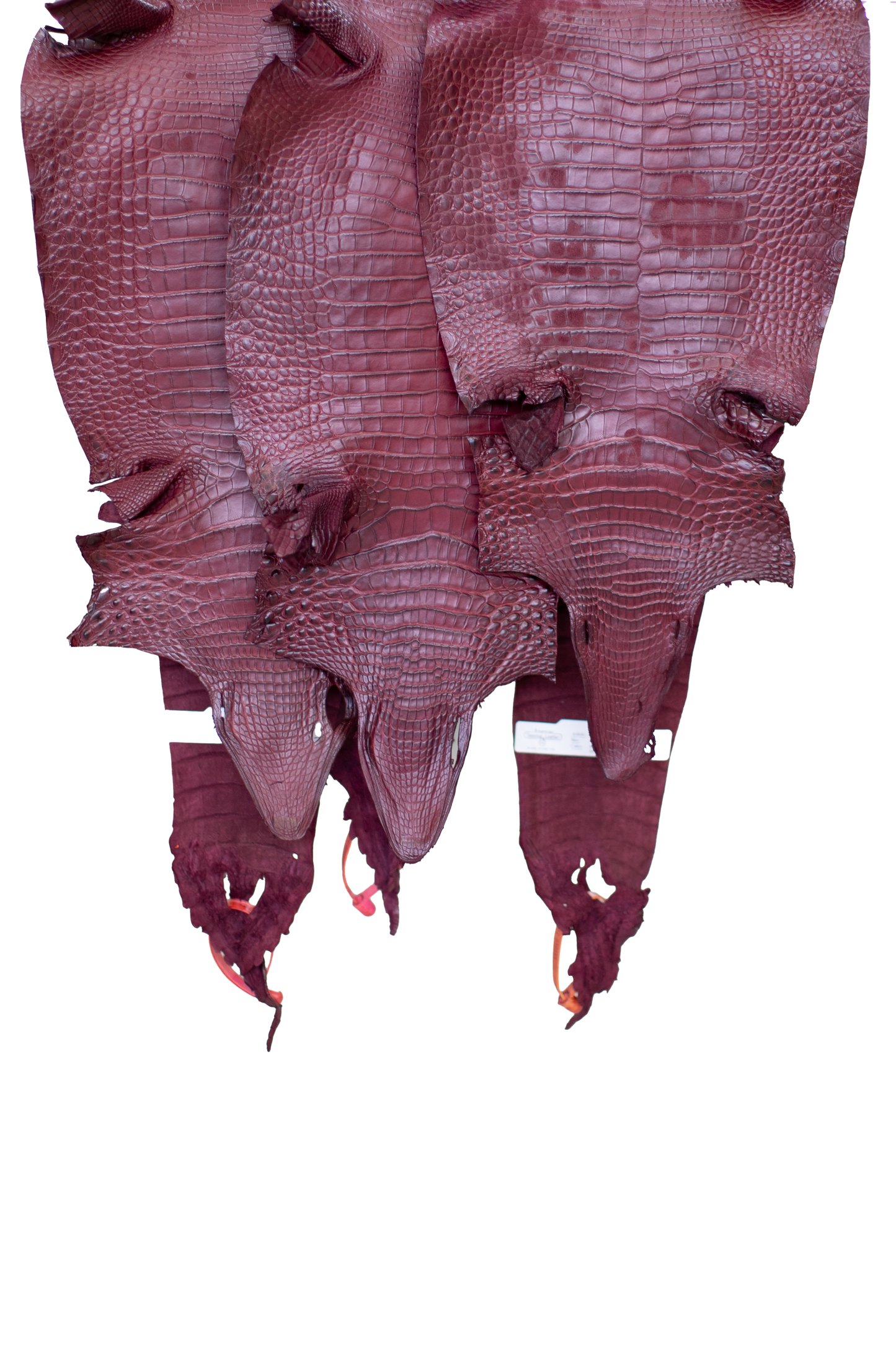 CLOSEOUT - Bordeaux Matte Farm Raised Alligator Belly from size 26 cm | Reject due to raw skin degradation