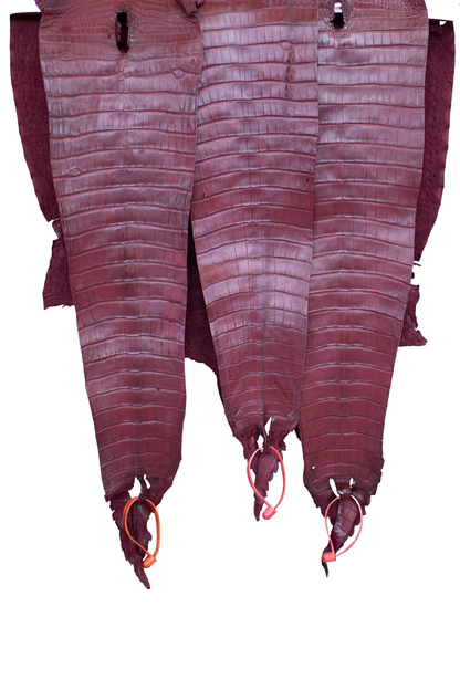 CLOSEOUT - Bordeaux Matte Farm Raised Alligator Belly from size 26 cm | Reject due to raw skin degradation