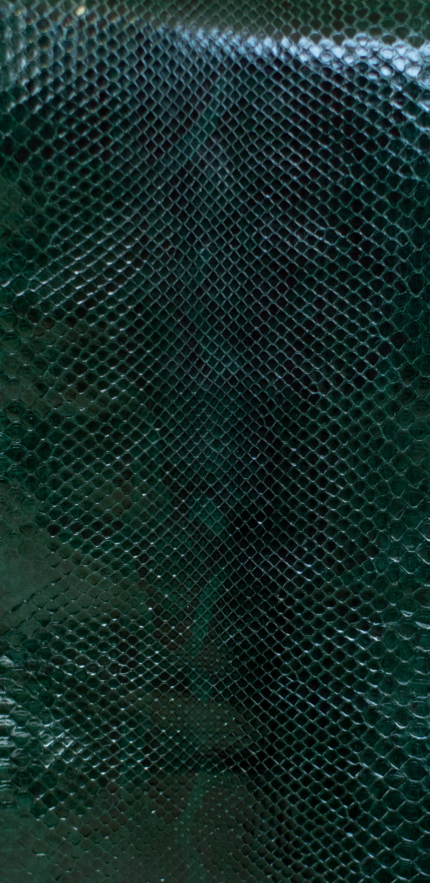 2.55 M Front Cut Dark Green Glazed with Natural Markings Python Leather