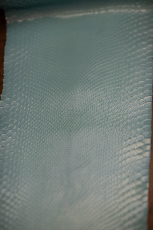 2.5 M Aqua Glazed Python Leather