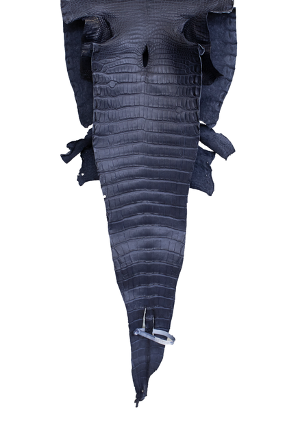 32 cm Grade 1/2 Navy Blue Matte Farm Raised American Alligator Leather - Tag: GA21-0046440