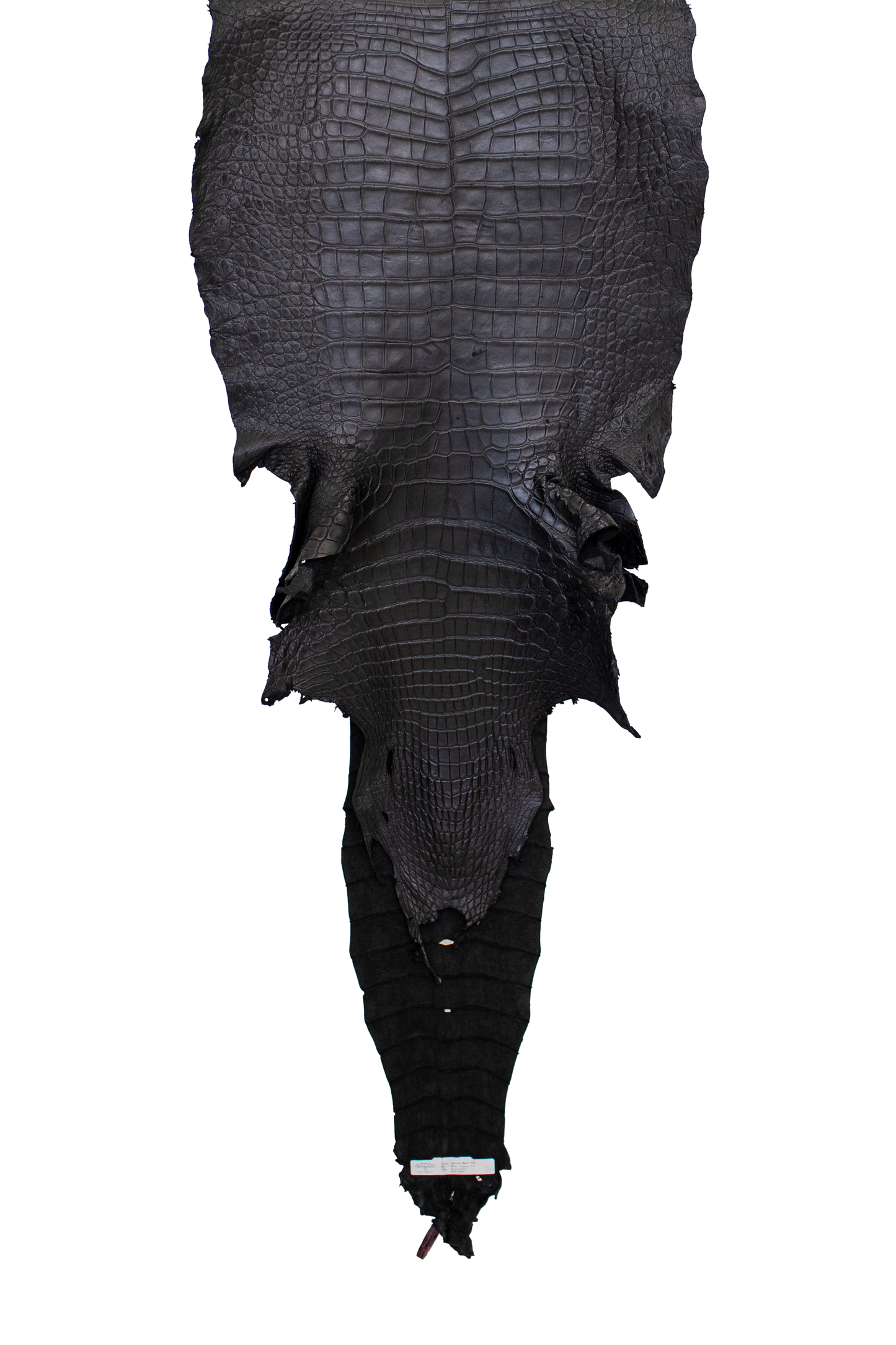 REJECTS | 51-68 cm Grade 4/5 Black Matte Wild American Alligator Leather