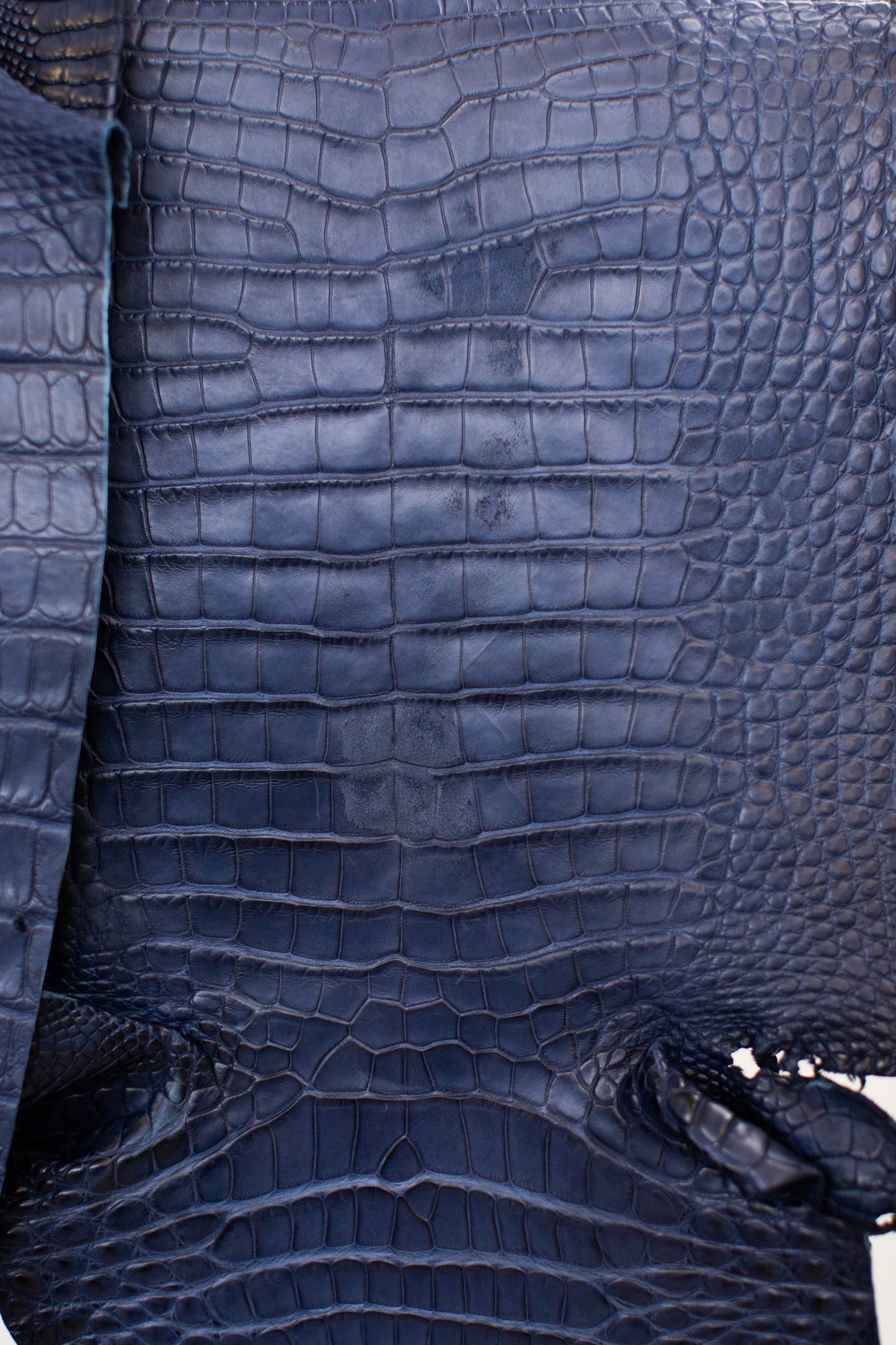 CLOSEOUT - Navy Blue Matte Farm Raised Alligator Belly from size 24-25 cm | Reject due to raw skin degradation