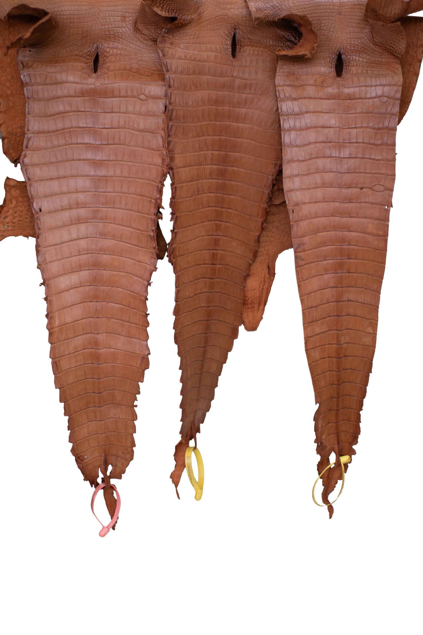 CLOSEOUT - Cognac Matte Farm Raised Alligator Belly | Reject due to raw skin degradation