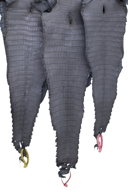 CLOSEOUT - Serpentine Grey Matte Farm Raised Alligator Belly | Reject due to raw skin degradation