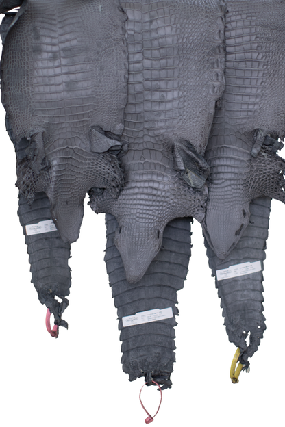 CLOSEOUT - Serpentine Grey Matte Farm Raised Alligator Belly | Reject due to raw skin degradation