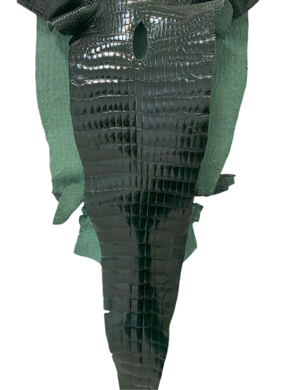 49 cm Grade 1/2 Forest Green Glazed Wild American Alligator Leather - Tag: LA17-0034082
