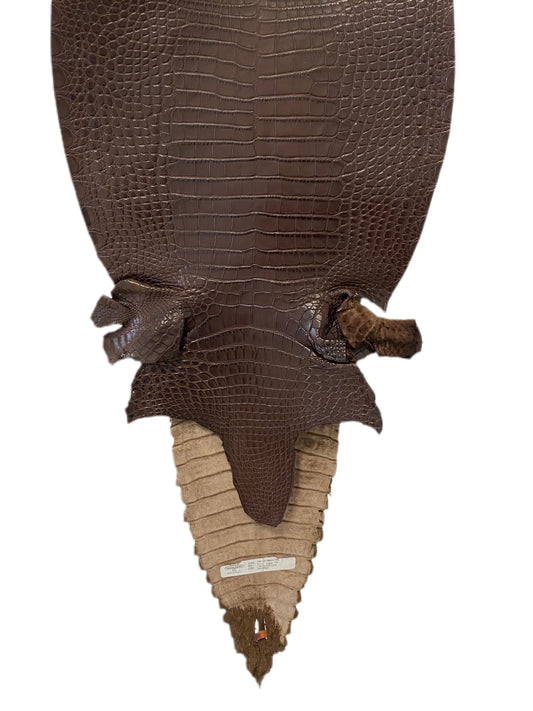 39 cm Grade 1/2 Chocolate Matte Farm Raised American Alligator Leather - Tag: FL17-0052914